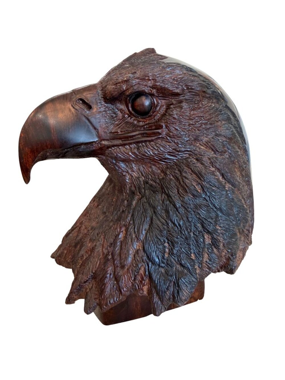 American Bald Eagle Head Ironwood Sculpture by Ramon DC & T Suby One Of A Kind